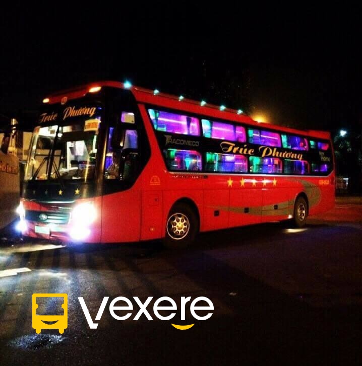 Hình ảnh Trúc Phương