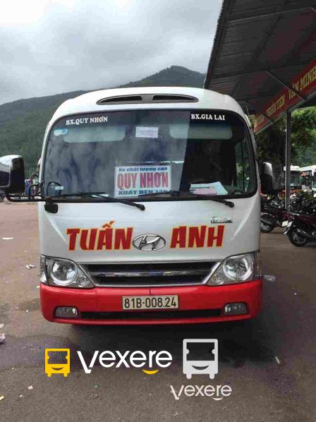 Hình ảnh Nhà xe Tuấn Anh (Gia Lai) trên tuyến Gia Lai đi Quy Nhơn