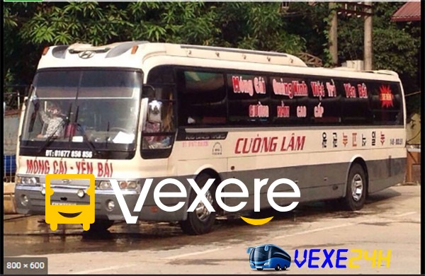 Hình ảnh Cường Lâm