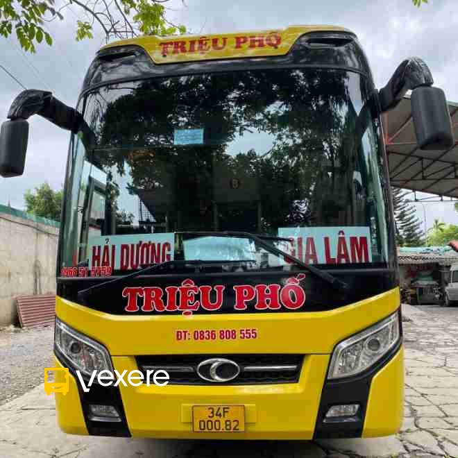 Hình ảnh Triệu Phố